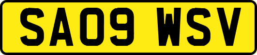 SA09WSV
