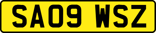 SA09WSZ