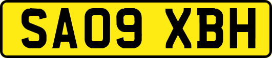 SA09XBH