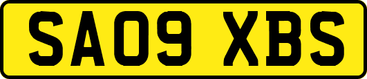 SA09XBS
