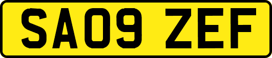 SA09ZEF