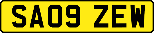 SA09ZEW