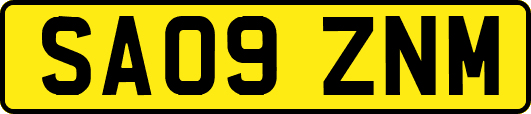 SA09ZNM