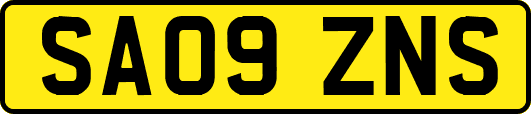 SA09ZNS