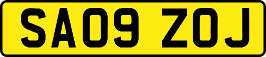 SA09ZOJ