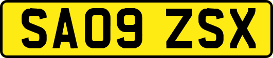 SA09ZSX