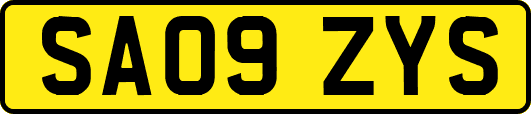 SA09ZYS