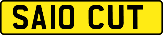 SA10CUT