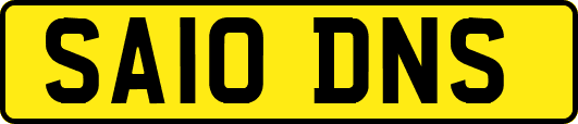 SA10DNS
