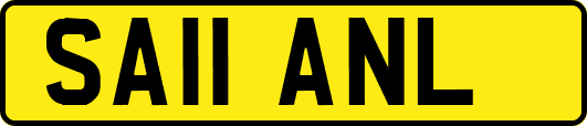 SA11ANL