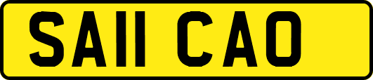 SA11CAO