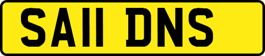 SA11DNS