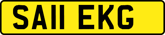 SA11EKG