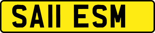 SA11ESM