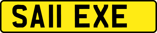 SA11EXE