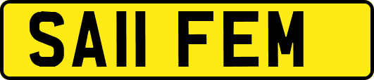 SA11FEM