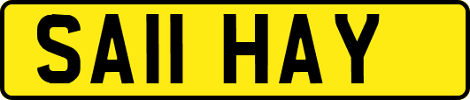 SA11HAY