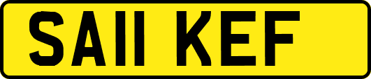 SA11KEF