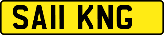SA11KNG