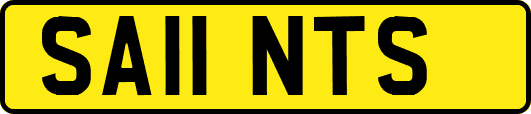 SA11NTS