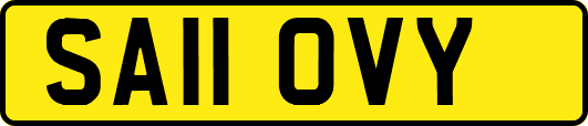 SA11OVY