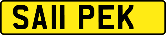 SA11PEK