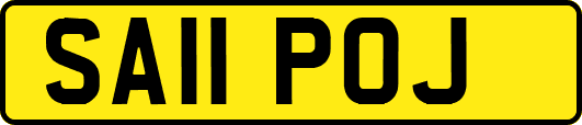 SA11POJ
