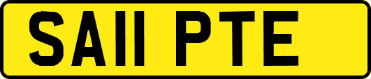 SA11PTE