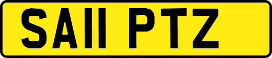 SA11PTZ