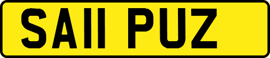 SA11PUZ