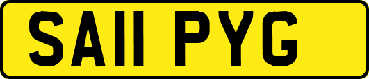 SA11PYG