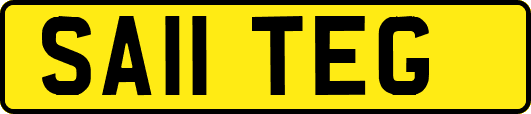 SA11TEG