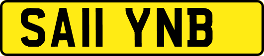 SA11YNB