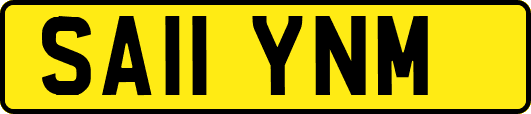 SA11YNM