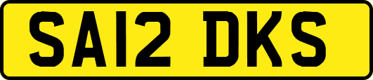 SA12DKS