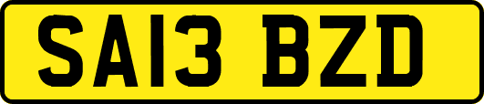 SA13BZD