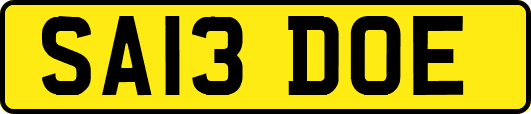 SA13DOE