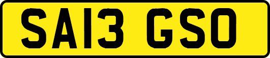SA13GSO