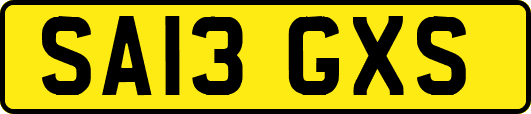 SA13GXS