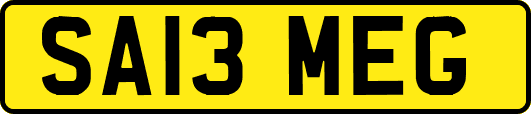 SA13MEG