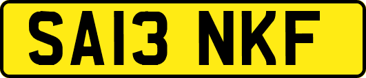 SA13NKF