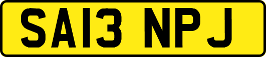 SA13NPJ