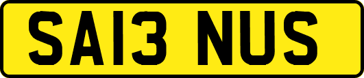 SA13NUS