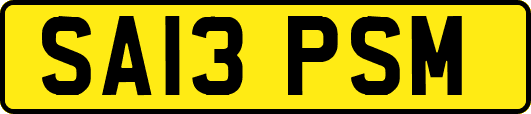 SA13PSM