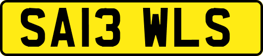 SA13WLS