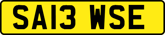 SA13WSE