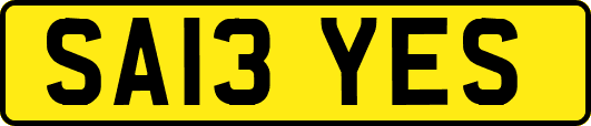SA13YES