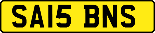 SA15BNS