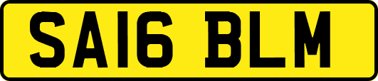 SA16BLM