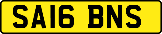 SA16BNS